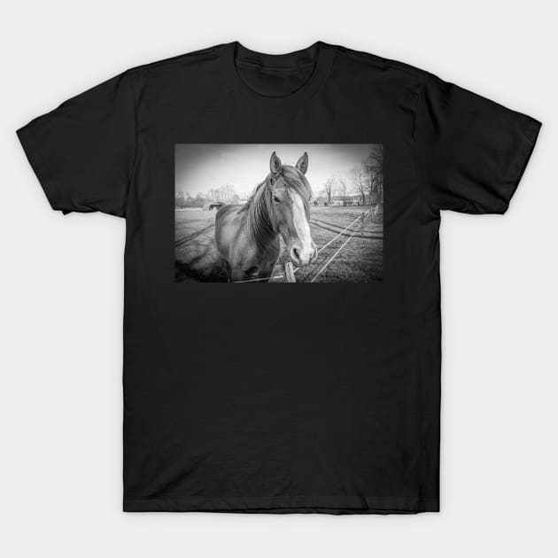 the horse T-Shirt by rickylabellevie